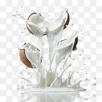 世界植物奶日——健康食品