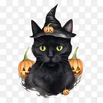 万圣节-黑猫