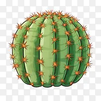 多肉植物-仙人掌