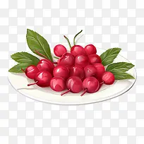 红蔓越莓-红蔓越莓樱桃水果红色食品