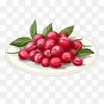 红蔓越莓-红蔓越莓樱桃红色水果食品