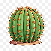 多肉植物-仙人掌