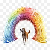 彩虹桥纪念日-彩虹