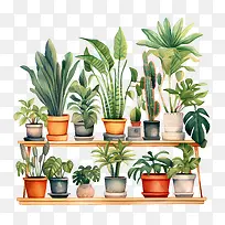 室内植物欣赏日-室内植物欣赏日植物多肉植物仙人掌玻璃容器