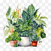 室内植物欣赏日-室内植物欣赏日盆栽植物花园绿叶植物