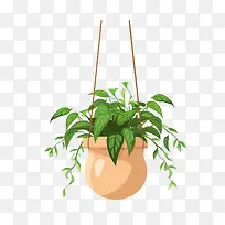 带盆的悬挂植物-藤蔓