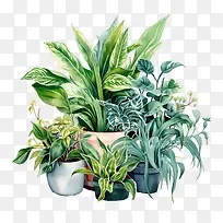 室内植物欣赏日-室内植物欣赏日植物盆栽水彩绿色