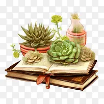 国家词典日-国家词典日图书多肉植物盆栽绿化