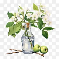 苹果花-苹果花苹果瓶花水