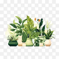 室内植物欣赏日-室内植物欣赏日盆栽植物绿化植物家居装饰