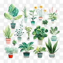 室内植物欣赏日-室内植物欣赏日盆栽植物绿化花园水彩