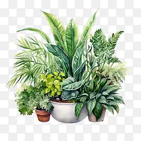 室内植物欣赏日-绿墙