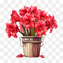 孤挺花-孤挺花红色花朵花束花香