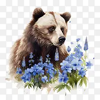 灰熊-灰熊熊野生动物棕熊动物