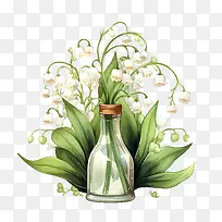 铃兰-春天的花朵