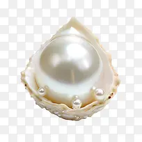 佩戴你的珍珠日-佩戴你的珍珠日贝壳珍珠白色天然