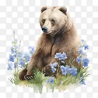 灰熊-灰熊棕熊野生动物自然森林