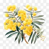 金荆树-金荆树花黄色开花开花