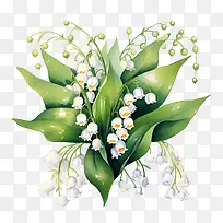 铃兰-铃兰铃兰白色的花朵花束静物