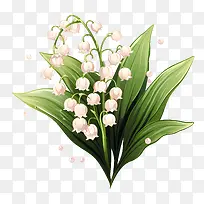 铃兰-鲜花花束