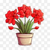 孤挺花-孤挺花红色花盆盆花瓶